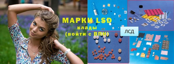 индика Карталы