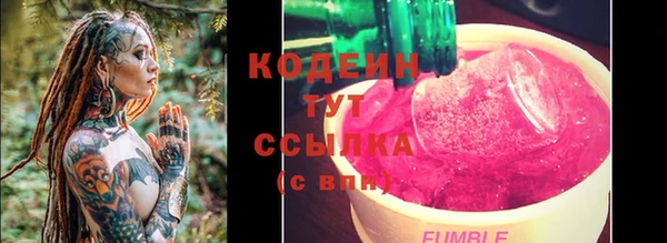 индика Карталы