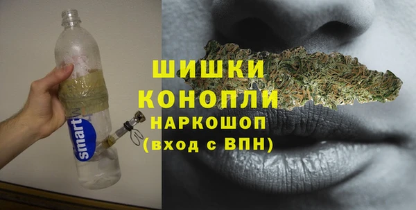 индика Карталы