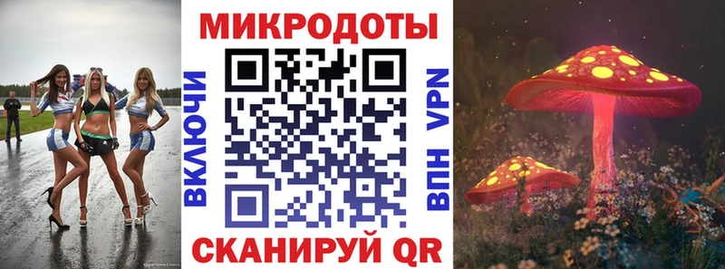 Купить  Сатка  Галлюциногенные грибы мицелий 